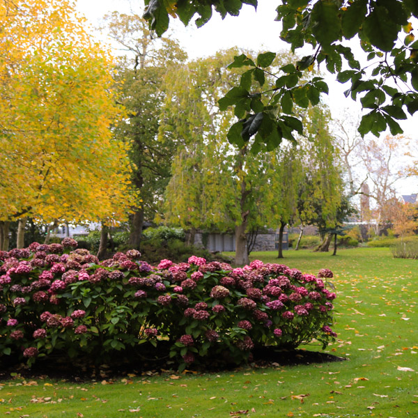 Gairdín an Uachtaráin