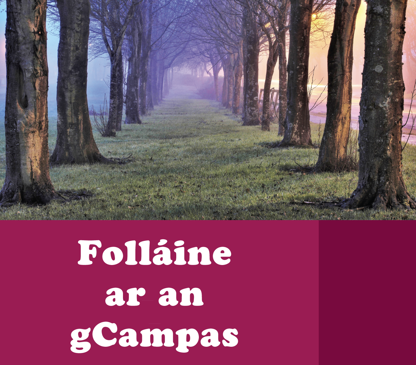 Folláine an Champais