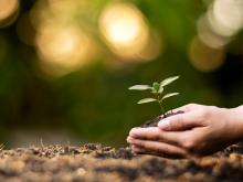 Personal Development