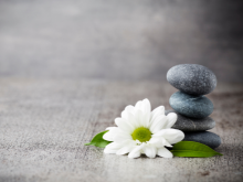 Wellbeing & Life Planning